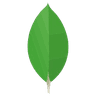 MongoDB